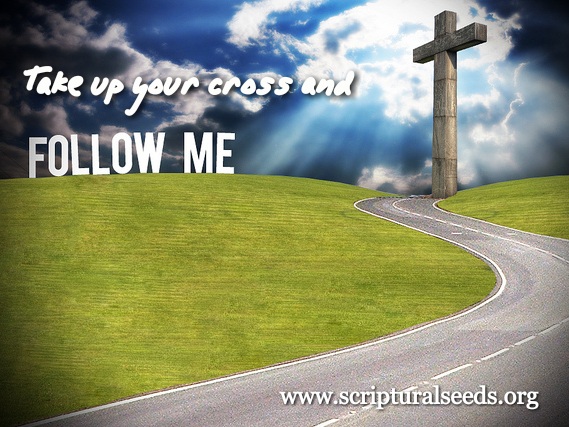 June 3rd 19 Take Up Your Cross And Follow Me Scriptural Seeds Ministries